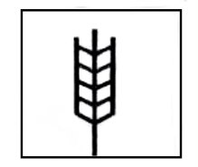 Imagen acompañando texto